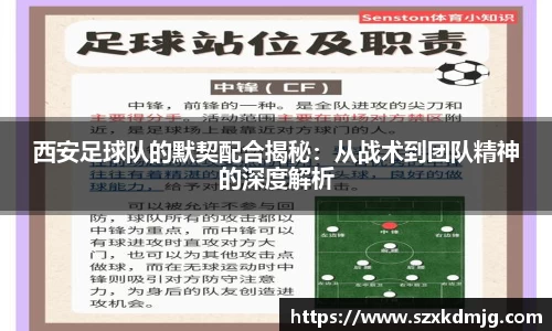 奇异果体育官方网站